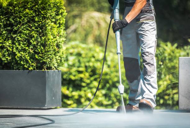 Best Roof Washing  in Churchill, PA